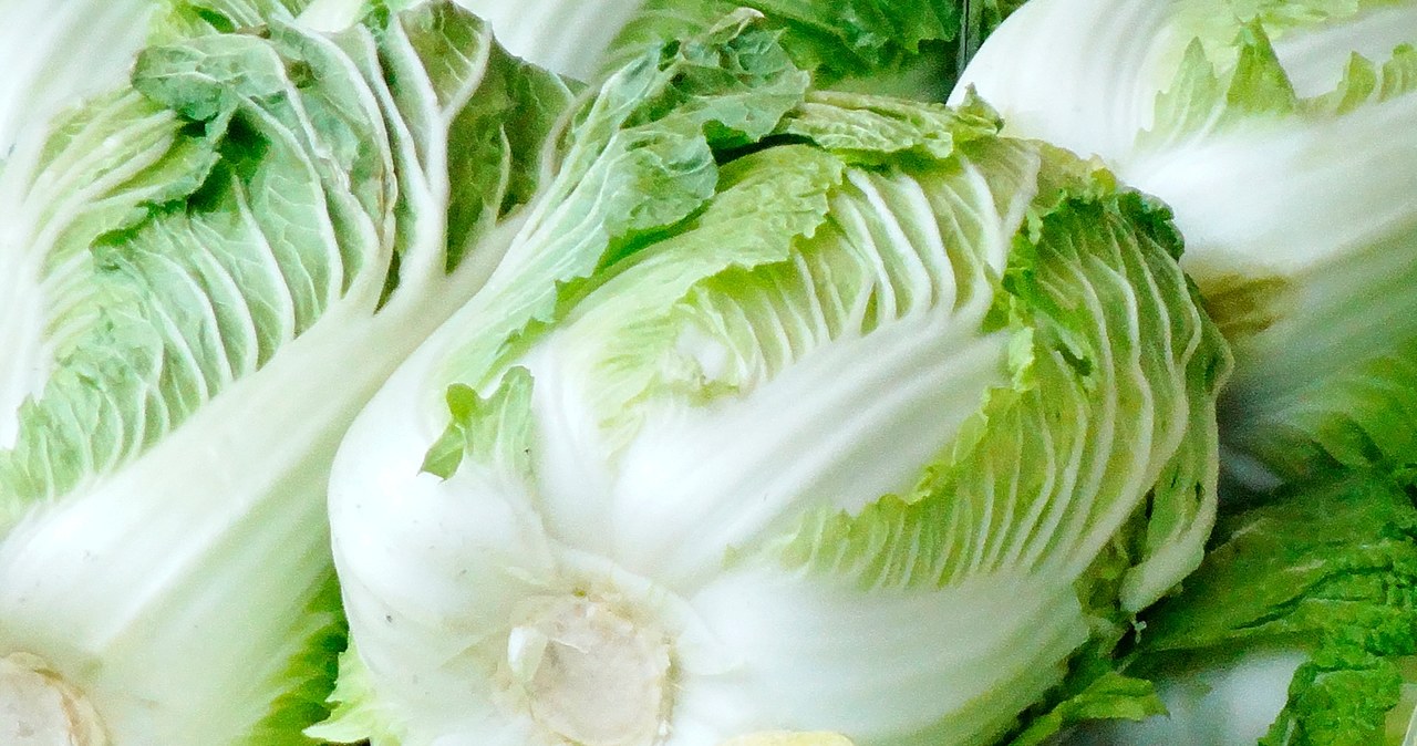 Kapusta pekińska zaliczana jest do najzdrowszych warzyw /123RF/PICSEL