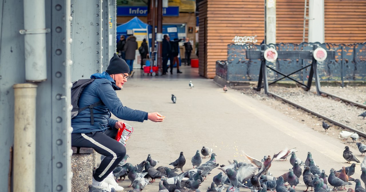 Kara grzywny może grozić osobom, które dokarmiają ptaki /123RF/PICSEL