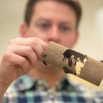 Karaluchy w ciąży potrzebują więcej snu