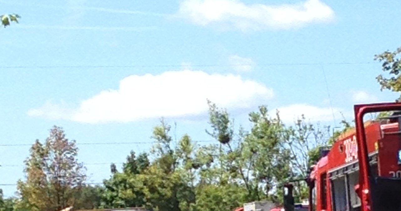 Karambol pod Olsztynem. 7 osób jest rannych