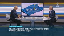 Karczewski w "Graffiti" o rotacyjnych marszałkach: Jest to dziwny pomysł