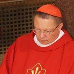 Kard. Grzegorz Ryś z wizytą u papieża