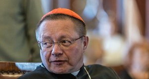 Kard. Ryś o komisji ds. pedofilii: Dla Kościoła będzie dramatycznie, jeśli nie powstanie