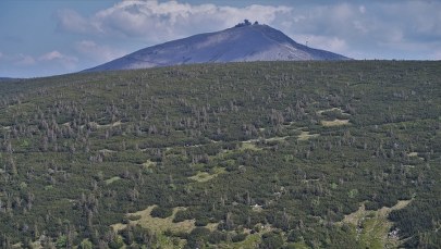 Karkonoski Park Narodowy zaprasza na bezpłatne wycieczki