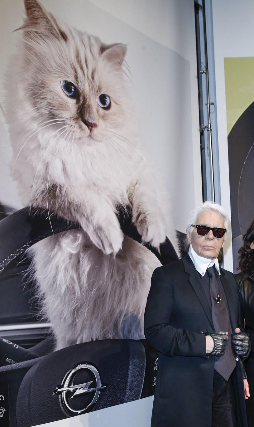 Karl Lagerfeld przed zdjęciem swego kota Choupette /Franziska Krug /Getty Images