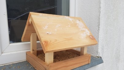 Karmniki za darmo. Leśnicy robią je z uschniętych drzew