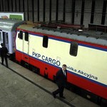 Karnowski: Na początku lutego będzie znany nowy prezes PKP Cargo