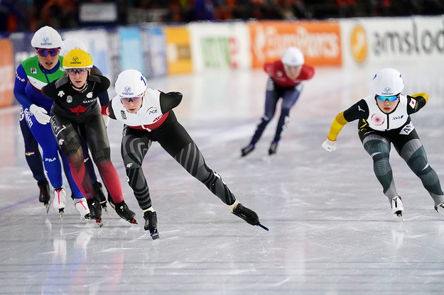 Karolina Bosiek /Rafał Oleksiewcz /Materiały prasowe