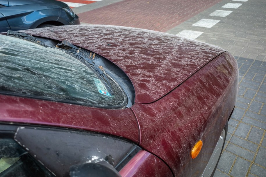 Karoseria samochodu pokryta żółtym pyłem /Arkadiusz Ziółek /East News