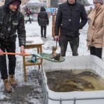 Karp na Wigilię śmierdzi mułem? Jest na to sposób