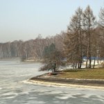 Karp nie jest mile widziany w rodzimym środowisku. To zagrożenie