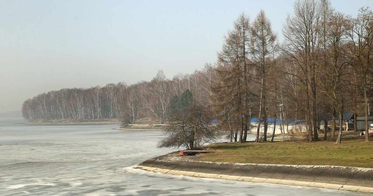 Karp to zagrożenie dla środowiska naturalnego. Dowiedz się, dlaczego /MONKPRESS /East News