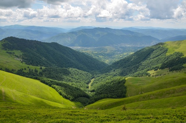 Karpaty /Shutterstock