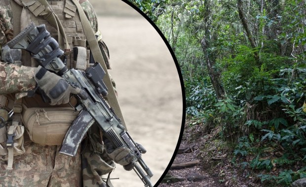 Kartele mają nowy towar. Zaskakujące kulisy "biznesu"