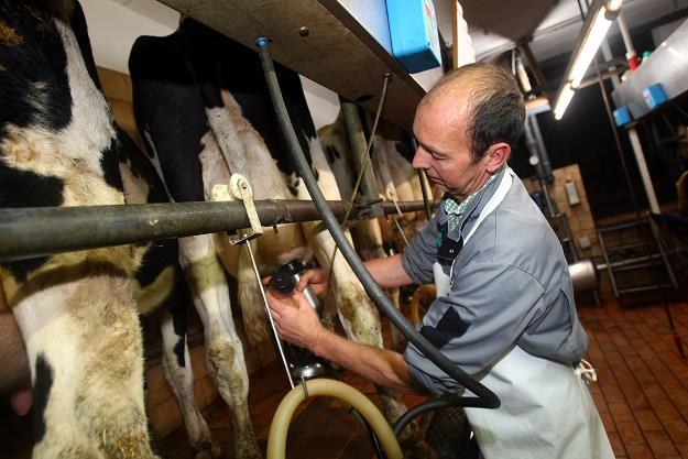 Kary dla polskich rolników? Tak, ale w ratach. Fot. Christof Koepsel /Getty Images/Flash Press Media