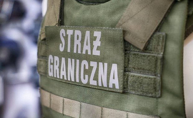 Kary za przestępstwa czy brak dokumentów. Kolejni Gruzini deportowani