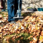 Kary za spalanie liści. Właściciele działek mogą zapłacić 5000 zł grzywny