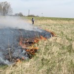 Kary za wypalanie traw mocno w górę. Nowe przepisy uderzą po kieszeni