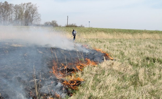 Kary za wypalanie traw mocno w górę. Nowe przepisy uderzą po kieszeni