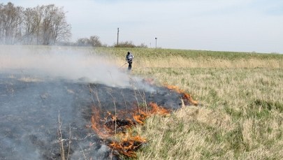 Kary za wypalanie traw mocno w górę. Nowe przepisy uderzą po kieszeni