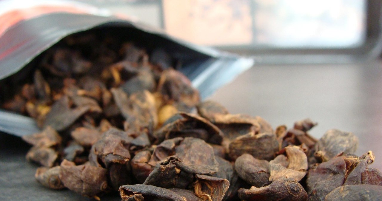 Каскара - модний напій, що набуває все більшої популярності у світі /pixabay.com