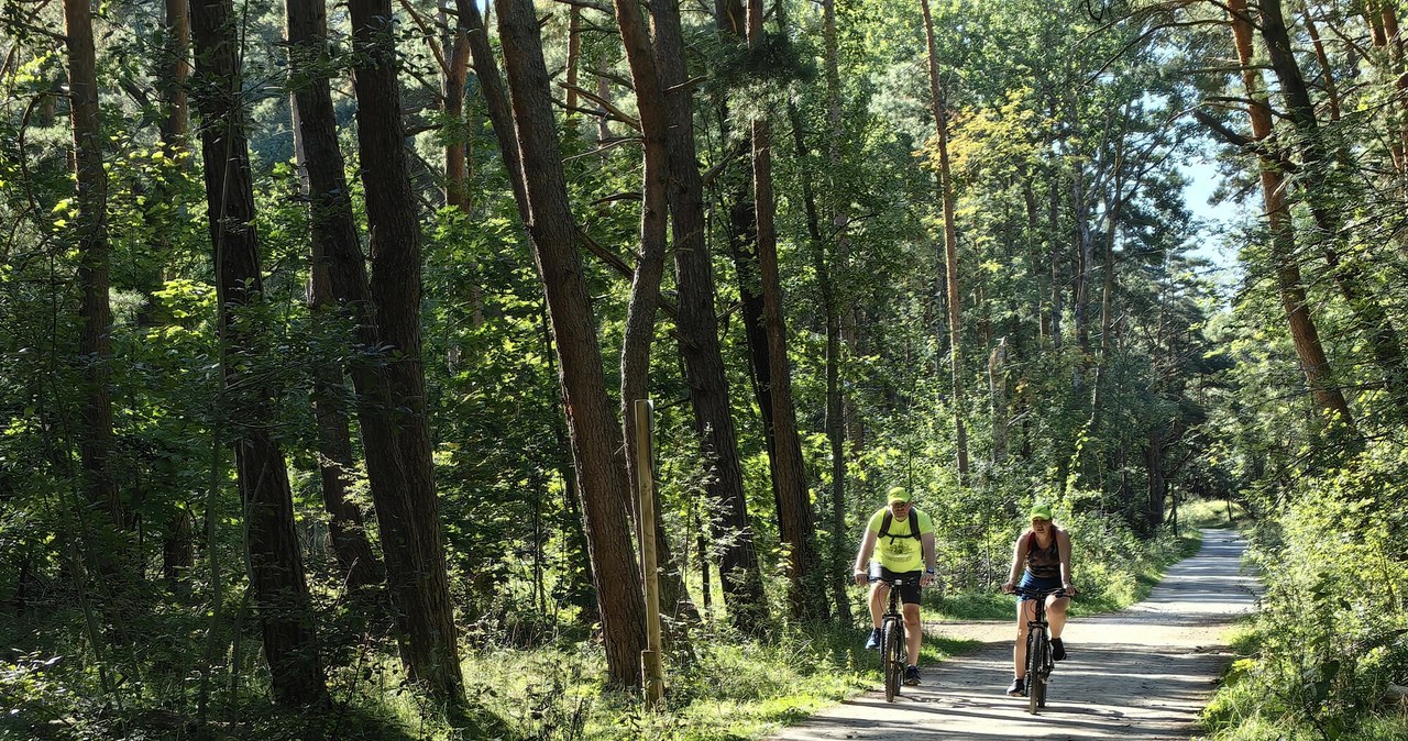 Kaszubska Marszruta to cztery szlaki liczące 165 km, pozwalające zobaczyć Kaszuby z inne strony. /Andrzej Zbraniecki/East News /East News