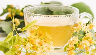 Katar i kaszel. Jakie rośliny i zioła są dobre na przeziębienie?