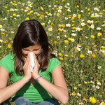 Katar sienny - pierwszy sygnał alergii