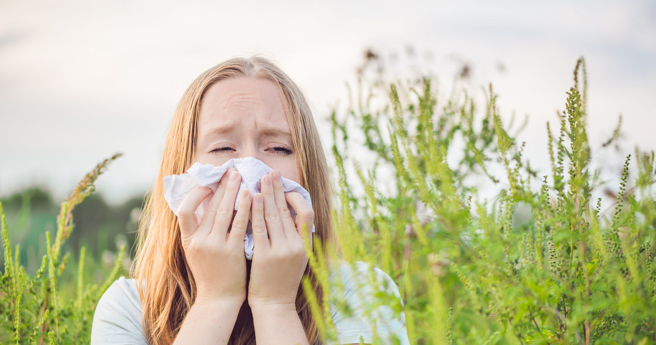 Katar sienny, zaczerwienione oczy, kaszel czy kichanie to tylko niektóre objawy alergii, która może się rozwinąć w każdym wieku. /123RF/PICSEL