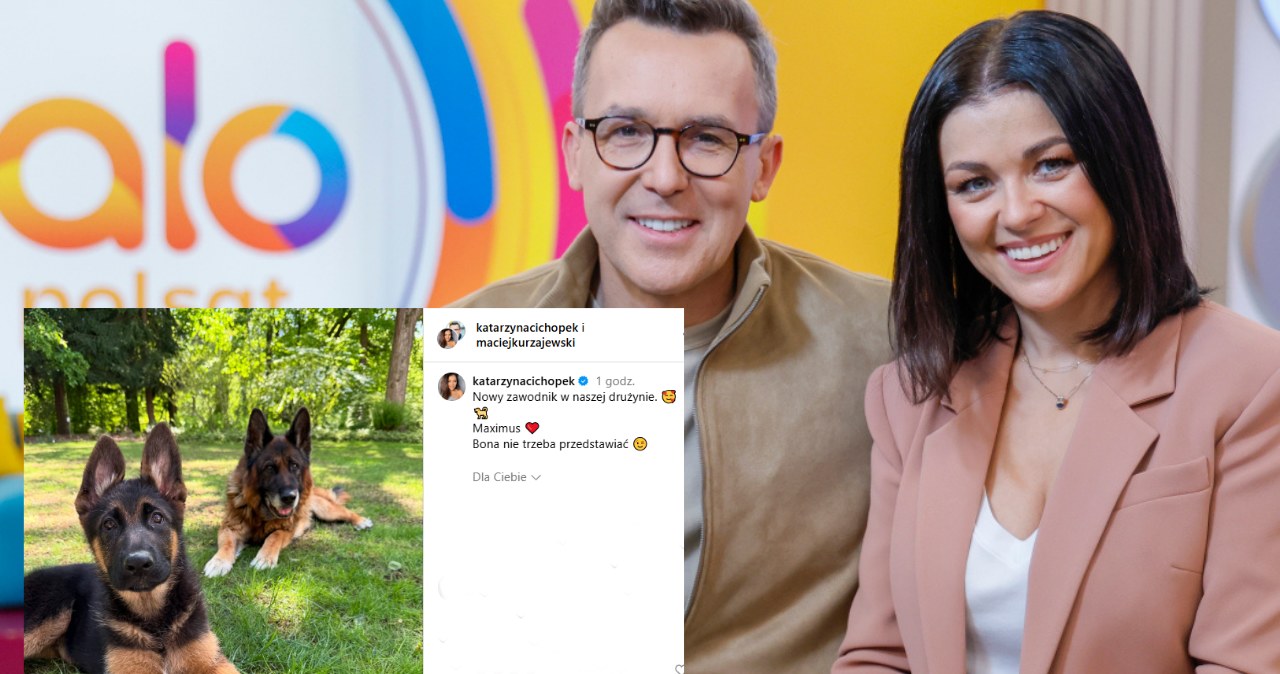 Katarzyna Cichopek, Maciej Kurzajewski mają nowego psa /Instagram @katarzynacichopek /AKPA