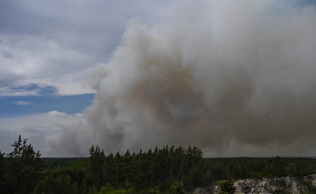 Katastrofa Dromadera podczas gaszenia pożaru Puszczy Solskiej. Komunikat Lasów Państwowych