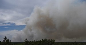 Katastrofa Dromadera podczas gaszenia pożaru Puszczy Solskiej. Komunikat Lasów Państwowych