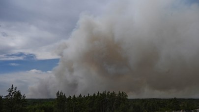 Katastrofa Dromadera podczas gaszenia pożaru Puszczy Solskiej. Komunikat Lasów Państwowych