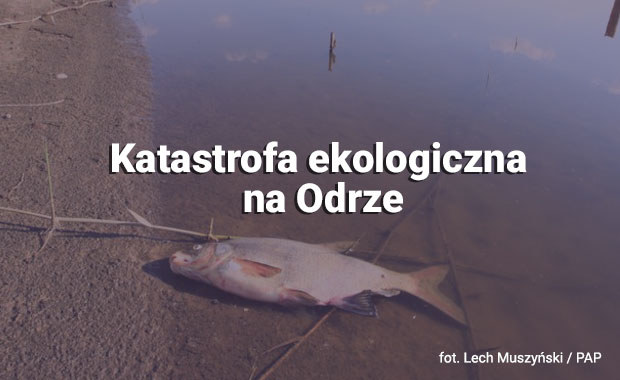 Katastrofa ekologiczna na Odrze