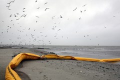 Katastrofa ekologiczna u brzegów USA