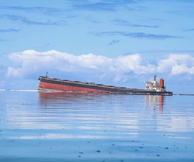 Katastrofa ekologiczna u wybrzeży wyspy Mauritius​