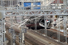 Katastrofa kolejowa w pobliżu Mediolanu: Dwie osoby nie żyją