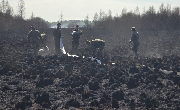 Katastrofa przyrodnicza. Tragiczny bilans pożaru w Biebrzańskim Parku Narodowym