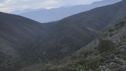 Katastrofa samolotu wojskowego, zginęło 27 osób