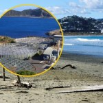 ​"Katastrofa środowiskowa". Władze ostrzegają przed kąpielami i wyprowadzaniem psów