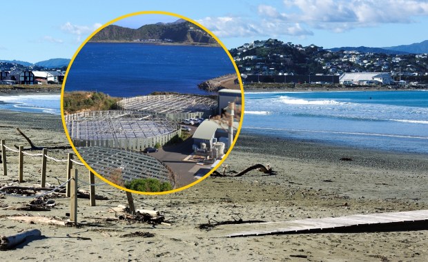 ​"Katastrofa środowiskowa". Władze ostrzegają przed kąpielami i wyprowadzaniem psów