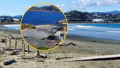 ​"Katastrofa środowiskowa". Władze ostrzegają przed kąpielami i wyprowadzaniem psów