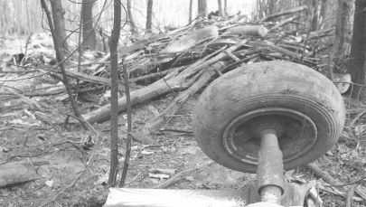 Katastrofa w Lesie Kabackim. Apel o nadsyłanie pamiątek 