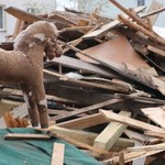 Katastrofa w Świebodzicach: Burmistrz miasta ogłosił trzydniową żałobę