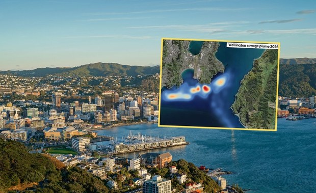 "Katastrofa" w Wellington. Miliony litrów ścieków trafiają do oceanu