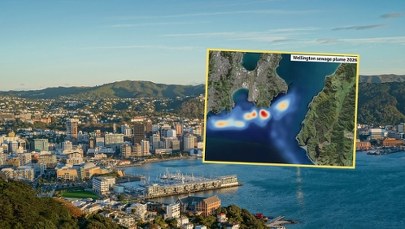"Katastrofa" w Wellington. Miliony litrów ścieków trafiają do oceanu
