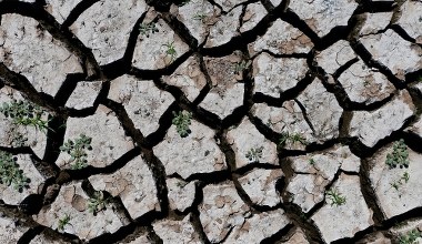 Katastrofalna susza w USA