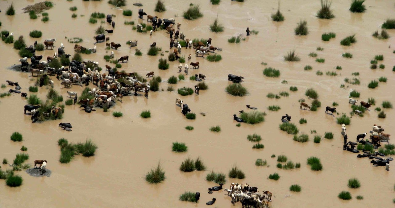 Katastrofalne powodzie w Pakistanie, ucierpiało około miliona osób 