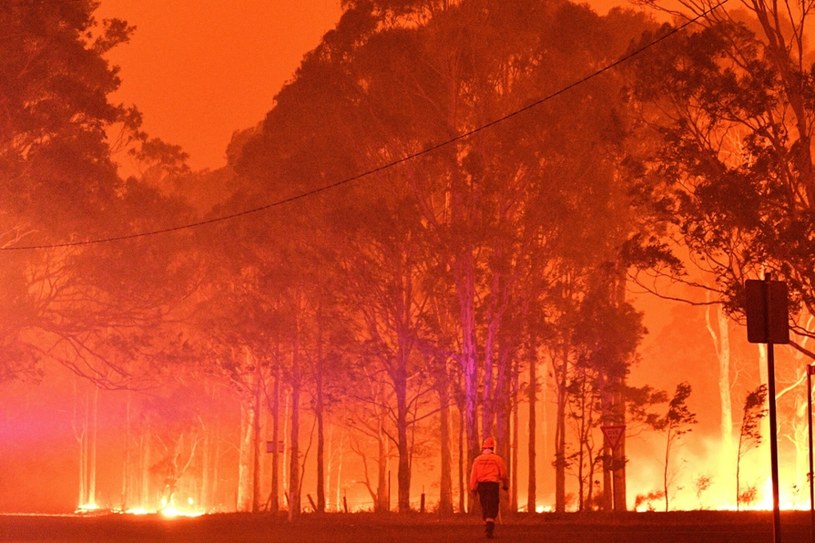 Katastrofalne w skutkach pożary buszu w Australii z  2019 i 2020 r. spowodowały wyrzut gigantycznej ilości popiołu do atmosfery /SAEED KHAN/AFP/East News /East News
