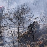 Katastrofalny pożar w Portugalii. Władze podały wysokość strat
